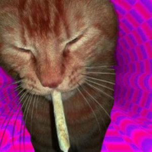 ✶drain the void✶ by ⎍⧮⫽⩘⧅⦔⨬⧇⩕⥉⦾⫰⧪⦑⧛⨳