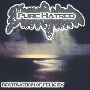 DESTRUCTION OF FELICITY by Pure Hatred