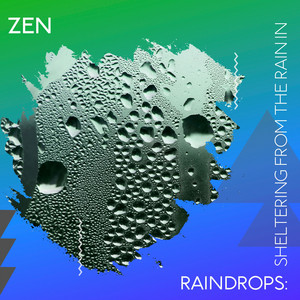 zZz Zen Raindrops: Sheltering from the Rain in the Plains zZz album