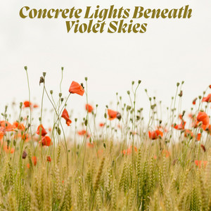 Concrete Lights Beneath Violet Skies
