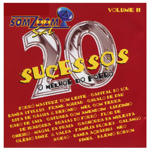 20 Sucessos Somzoom Sat, Vol. II (O Melhor do Forró) – Compilação