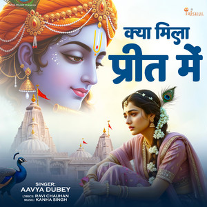 Kya Mila Preet Me