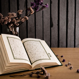 إِنَّ اللَّهَ لَا يَغْفِرُ أَنْ يُشْرَكَ بِهِ وَيَغْفِرُ مَا دُونَ ذَٰلِكَ لِمَنْ يَشَاءُ by آيات من القرآن