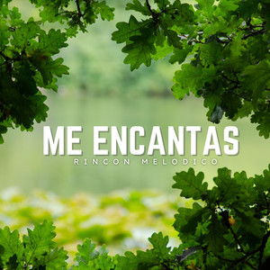 Esa Es La Forma by Rincon Melodico