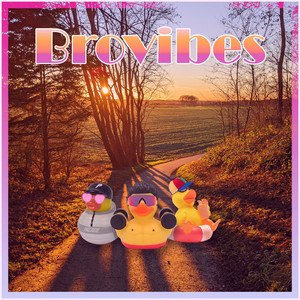 Brovibes