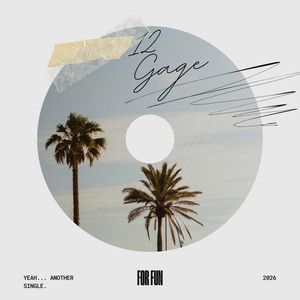 For Fun by 12 Gage