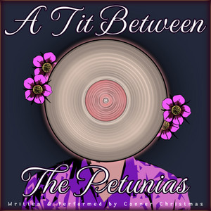 Diva Cups album cover