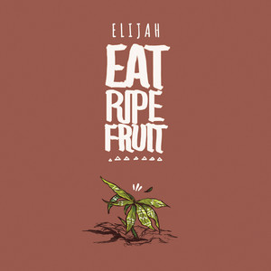 Take Time To Dub by Elijah, Raging Fyah, Joe Ariwa