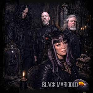 Nightfall by Black Marigold, Leah Jane Hendrix