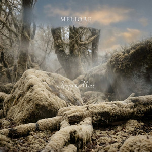 Ivory Moss by Meliore
