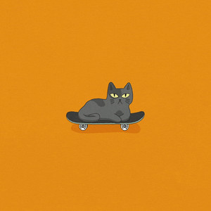 Lofi Cat by a girl and a cat