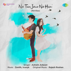 Na Tum Jano Na Hum (ReVibe) by Ashwin Adwani