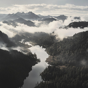 True Nature