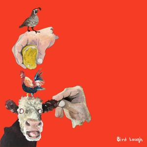 Bird Laugh by mildred