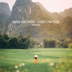 A Lonely Pink Cloud cover art