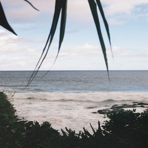 Palm View by Phlocalyst, Mr. Käfer, keeplove., JazzDaniels