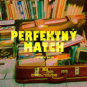 Perfektný Match by Amo, Erika Rein