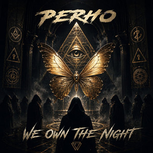 We own the night by Perho