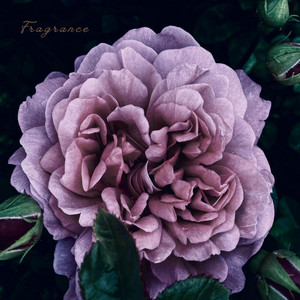 Fragrance by Mindy Chuang