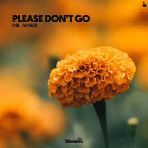 Please Don't Go by Mr. Amber, Amber Revival