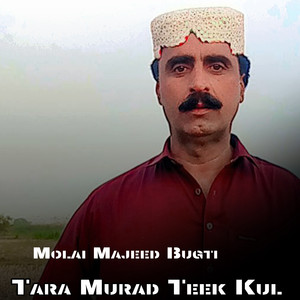 Molai Majeed Bugti - Tara Murad Teek Kul