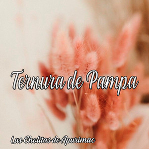 Ternura de Pampa by Las Cholitas De Apurimac