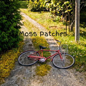 Moss Patches by RØWAN VALE
