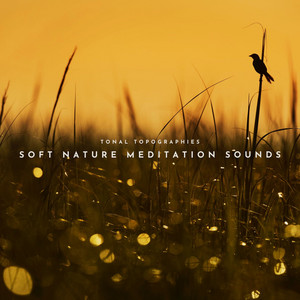 Drifting Downstream by Tonal Topographies