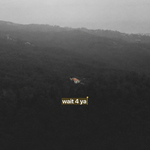 wait 4 ya by Cortes