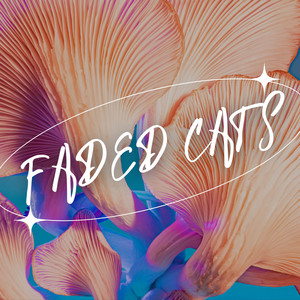 Faded Cats