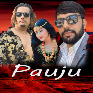 Pauju (feat. Purshottam Gaire)