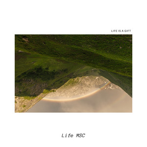 Life Is a Gift by Life MSC