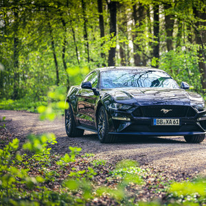 LFoliver - Car