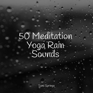 50 Meditation Yoga Rain Sounds album