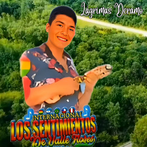 Sentimientos de Valle Flores - Lágrimas Deramó