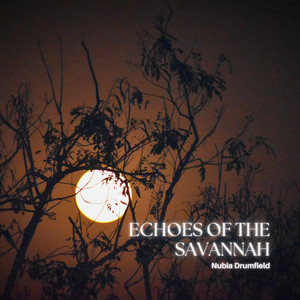 Nomad Echo by Nubia Drumfield