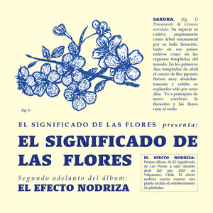 El Significado de las Flores
