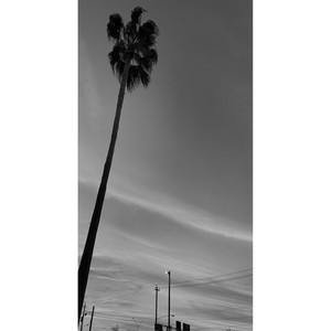 Lone Star by Adam Longlands, A Longlands