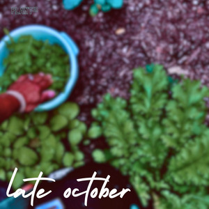 Late October by Plant.Jr