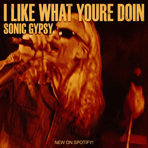 I Like What You're Doin' To Me by Sonic Gypsy