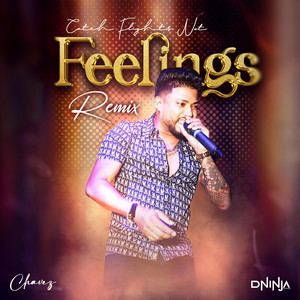 Feelings (D Ninja Edit)