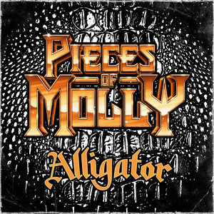 Alligator by Pieces of Molly