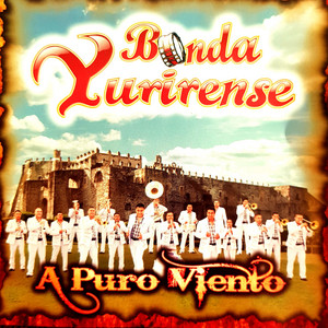 Puras Instrumentales cover