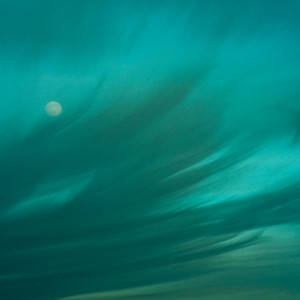 meadow by lifeforms