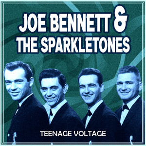 Little Turtle by Joe Bennett & The Sparkletones