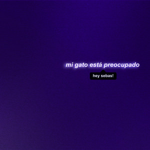 MI Gato Está Preocupado