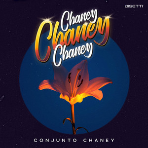 Hoy No Te Vi by Conjunto Chaney