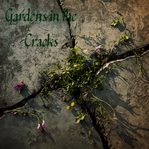 Gardens in the Cracks by Twin Forks