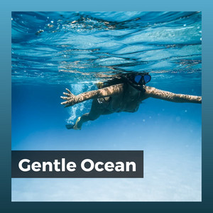 Gentle Ocean album