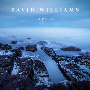 Echoes by David Williams